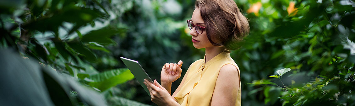 femme au travail avec des arbres ecoresponsable