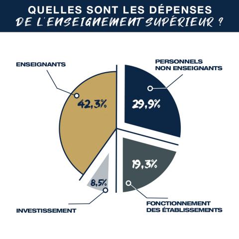 graphique depenses